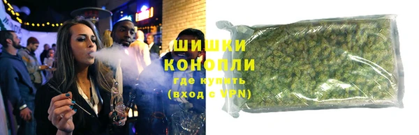 прущие грибы Новодвинск