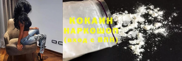 хмурый Новозыбков
