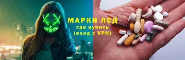 хмурый Новозыбков
