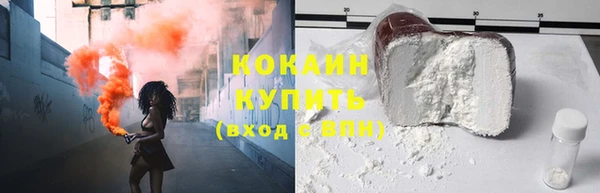 прущие грибы Новодвинск