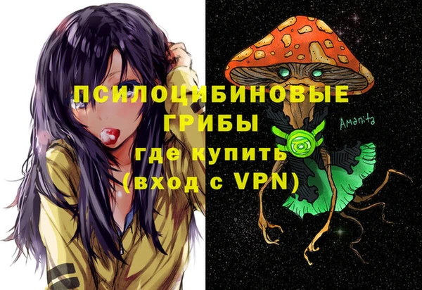 прущие грибы Новодвинск