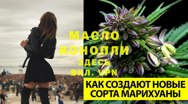 хмурый Новозыбков