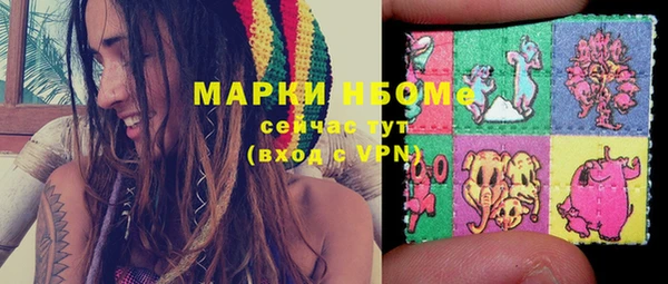 прущие грибы Новодвинск