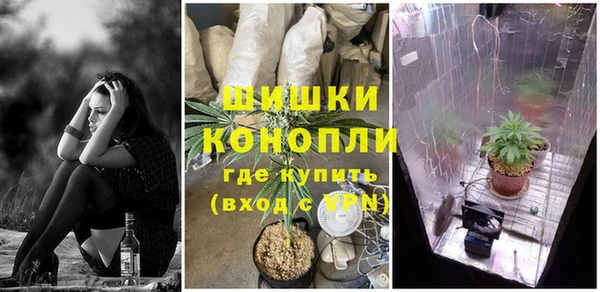 хмурый Новозыбков