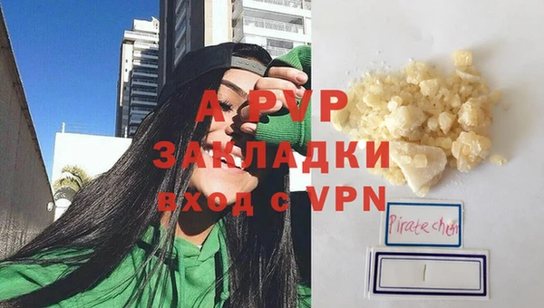 хмурый Новозыбков