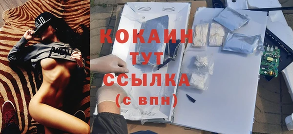 прущие грибы Новодвинск