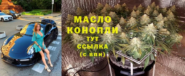 хмурый Новозыбков