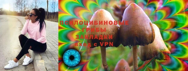 винт Новокубанск