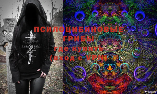 хмурый Новозыбков