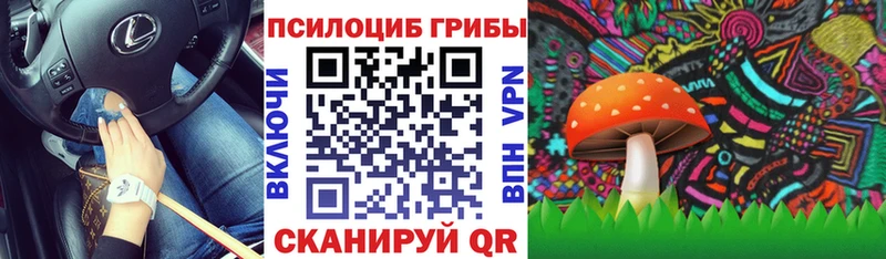 Псилоцибиновые грибы Cubensis  Старая Русса 