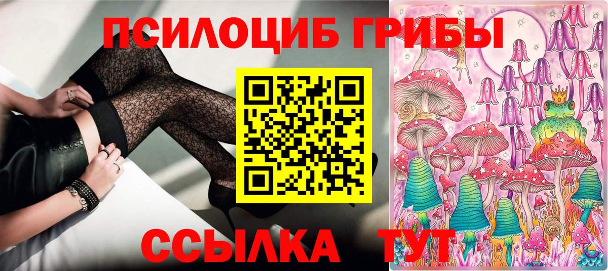 закладка  Вход с VPN  Старая Русса  Псилоцибиновые грибы мицелий 