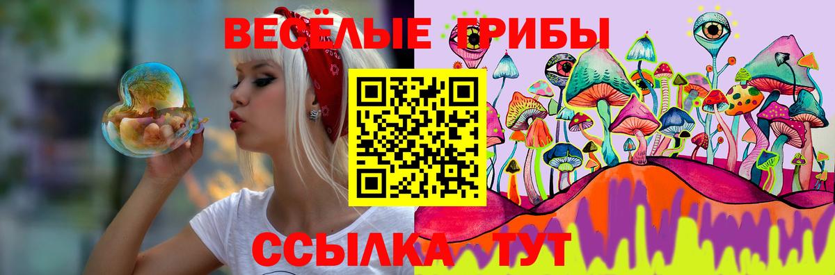 Галлюциногенные грибы Psilocybe Старая Русса